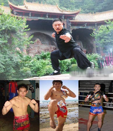 ̩ȭ�����Ї������Ļ��¶:�M���ߑT�Ðۇ�����