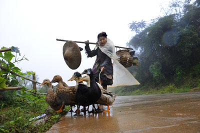 ɭ�օ��е��ɳ��կ���M�D��