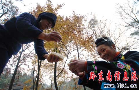 ��կ����ӭ�����ȹ� ����g�ȹ��Ϲ��գ��D��