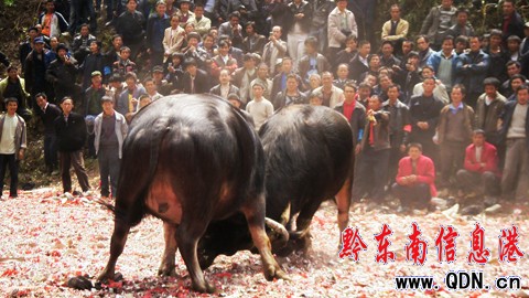 ��ƽ��������g�����ع�(ji��)���M�D��