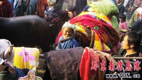 ��ƽ��������g�����ع�(ji��)���M�D��