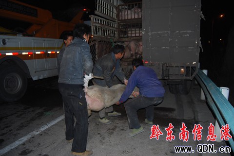 �������لP��ΰl����ͨ�¹� ܇���i�м��w