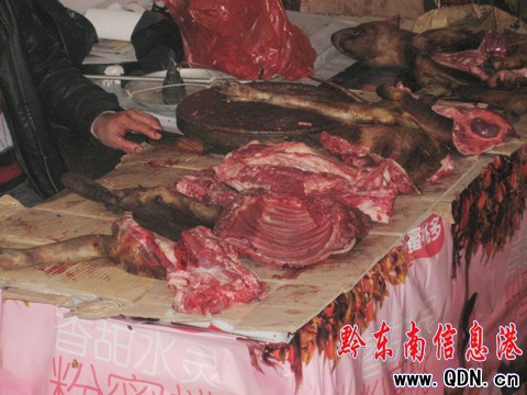 冬至日農村土狗