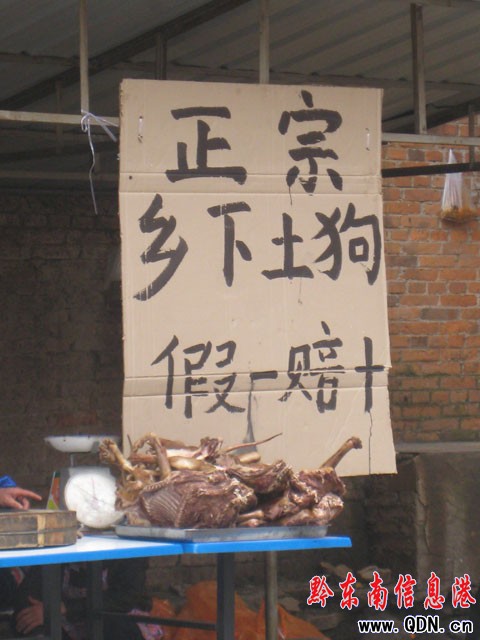 冬至日農村土狗