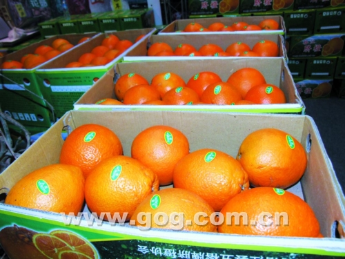 ����������r���Ј�ȥ�������D��