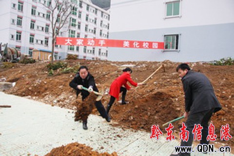 �P��WԺ�����x��ֲ��ӭ���꣨�D��