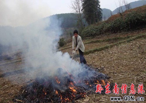 黃平縣嚴(yán)查違規(guī)野外用火(圖)