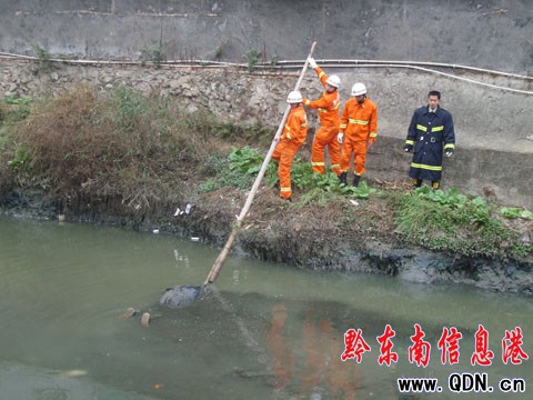 �P��һ����С��Ư����ʬ ���ݲ��������ƣ��D��