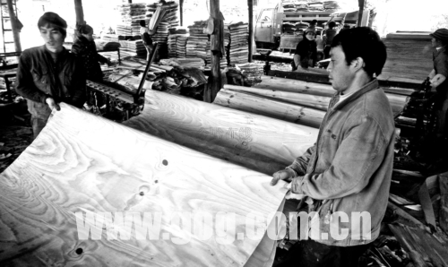 �����(zh��n)��ǧ�r(n��ng)����T�ھ͘I(y��)���D��