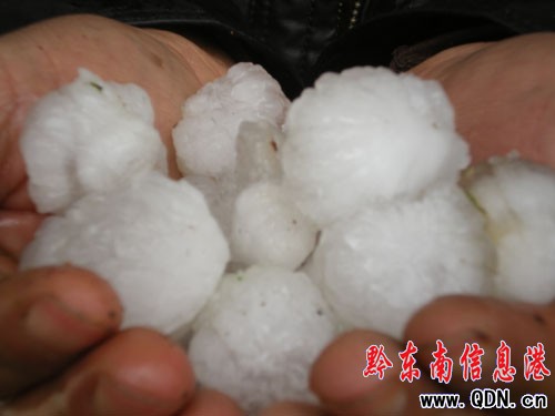 �(zh��n)�h6�l(xi��ng)�(zh��n)���ܱ�����(z��i)�����M�D��