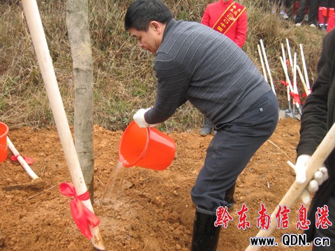 種植“圣林”活動在苗鄉(xiāng)圣地香爐山舉行(圖)