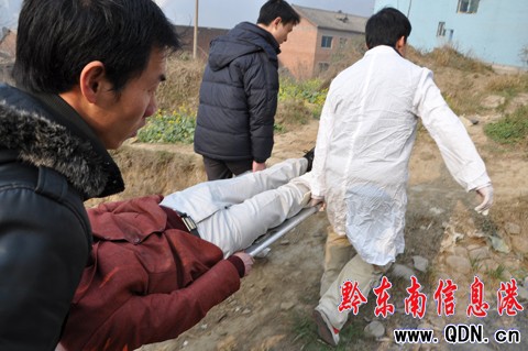 �����_���l���P��