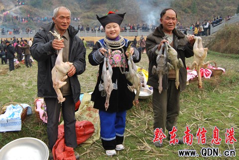 ���i����c������(ji��)�� �ò����[�����D��