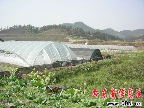 ǭ�|�����룩���B�^���r�Iʾ���^ ���M�r������