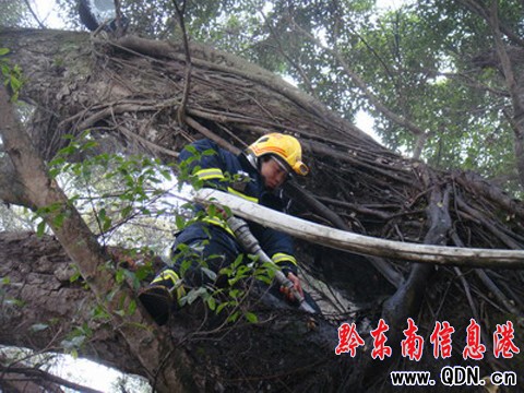 ����ݷ��°�����Ř���𣨈D��