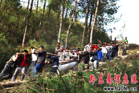 ��h�h��늾��ٴ�Ͷ��12�fԪ�����Ȟģ��D��