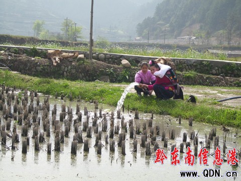 ��ɽ�M��3�fȺ���_չ�����ȞĴٴ������a�Ծ�