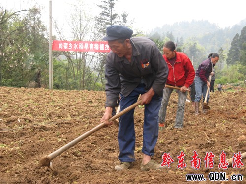 ������ �ٰlչ ӛ��կˮ����������Ӗ�����D��