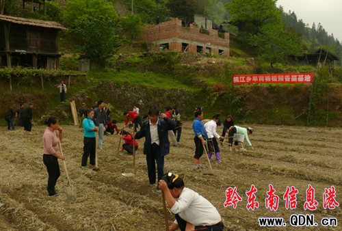 ��ɽ�ҽ��l�h�T���g���������D��