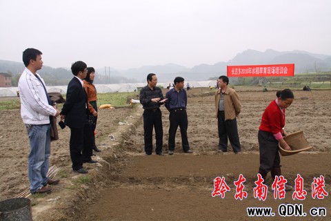 ����23���Ƽ��ˆT���lָ���������D��