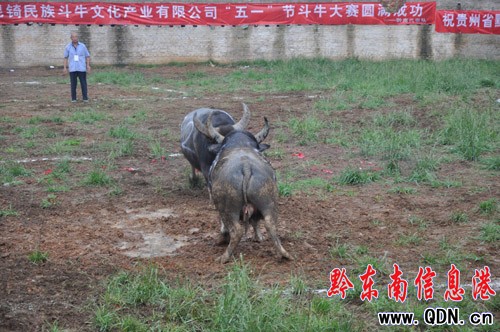 狹路相逢勇者勝 萬(wàn)潮