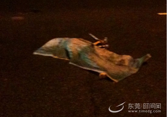 �P��Ů���|ݸ��܇�� �����߼ҌٷQ