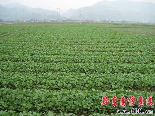 副州長潘亮到榕江調(diào)研農(nóng)業(yè)醫(yī)療等工作(圖)