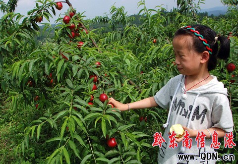 ʩ�����Mɽ���@�t �����ο�ժ���ң��D��