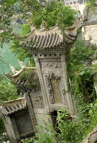 ���̺��C��������