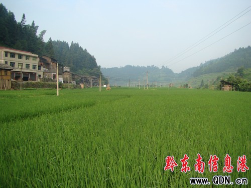 �\���Nֲ�r�I���f��ˮ���߮a�Ŀ�L�ݺã��D��