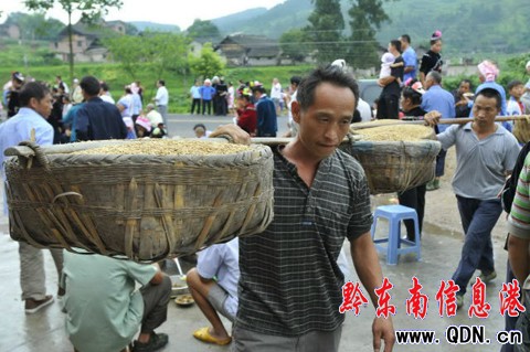 �P����ϵ���կ��Y���M�D��