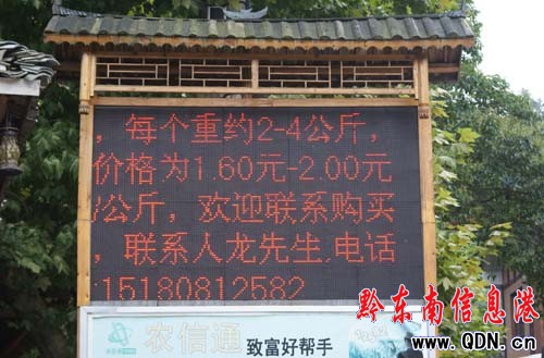 雷山縣農民網絡交易火 年收入5000萬元