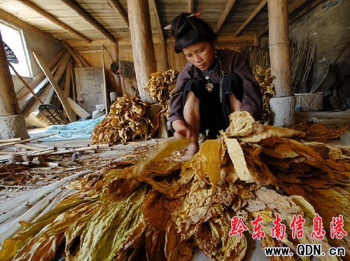 ��կ�����S�� ���������ؔ��(�D)