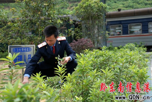 �P���܇վ�h�T�����ЉK���G��؟(z��)������D��