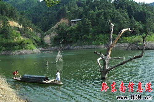 ��������ɯ���ϵ�������կ���D��