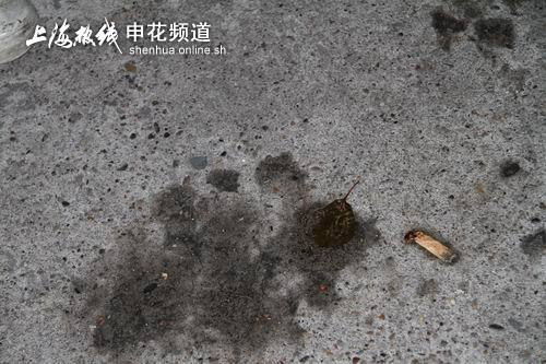 �M�D���껨�����������ع� �F��Ѫ�E�߰�