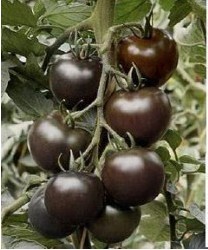 �����������顱���齭ԇ�N�ɹ����D��