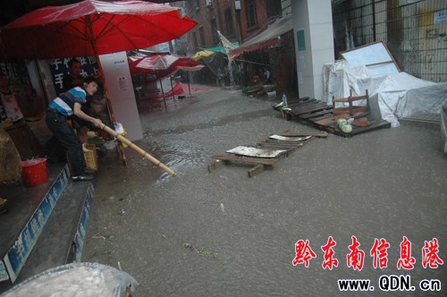 �P�������E������ ���^�ٳɝɇ� ���M�D��