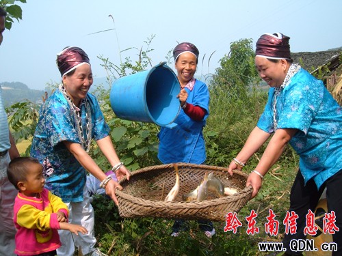 �Sƽ500���߮a�������B�B�~ϲ�@�S�գ��D��