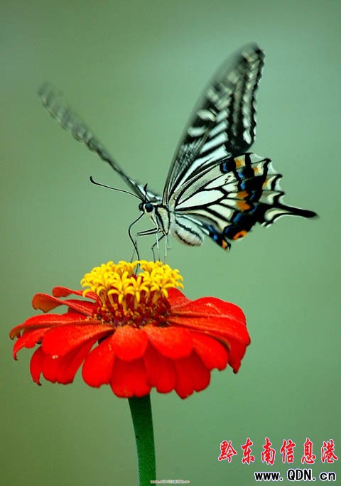 ����r�� �r���`������o�������������裨�M�D��