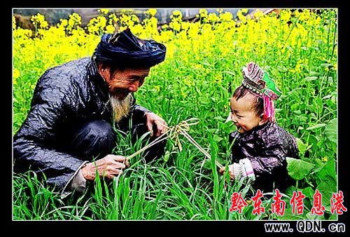 ���݃ɼ���Ʒ���˿�Ӌ(j��)�������zӰ��ِ�Ы@���Ȫ�(ji��ng)