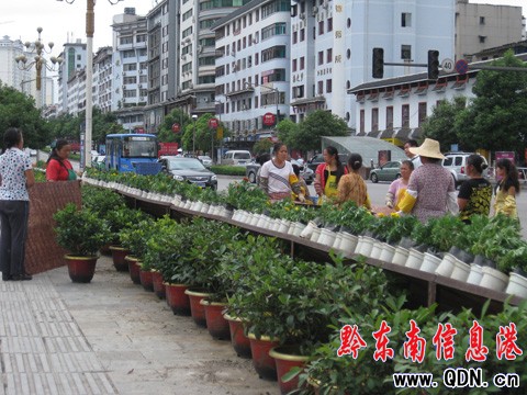 ӭ���� �����c �P��@��̎��V�����ܓQ����D��