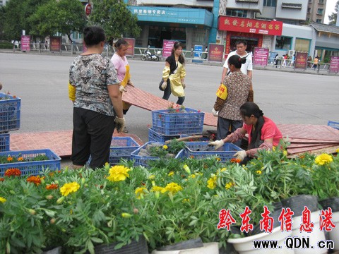 ӭ���� �����c �P��@��̎��V�����ܓQ����D��