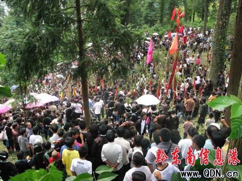 從江苗胞喜過(guò)“新米節(jié)”(組圖)