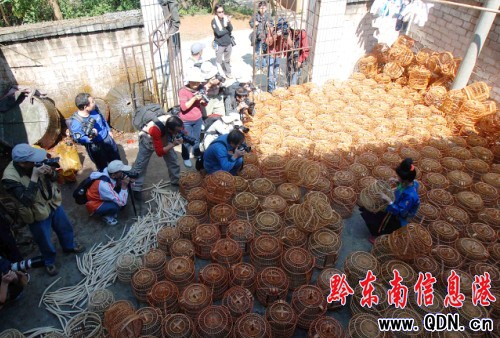 ���۔zӰ�� ���L(f��ng)�B(ni��o)�\��(�D)