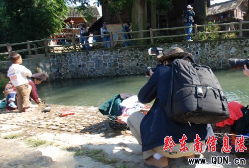 ���۔zӰ�� ���L(f��ng)�B(ni��o)�\��(�D)