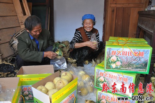 �����^ô���ҳɞ��ο͡����G�G�����D��