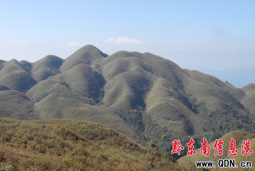 �_���@�u���������ɫ�������h���D��