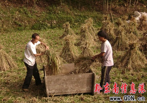 �\���hɽ�^Ⱥ��ץ�o�r�C������Z���D��