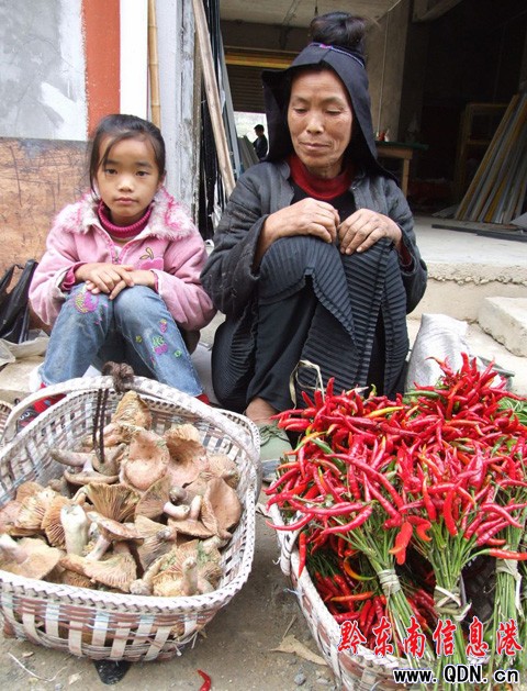 ���Ů���Բ�ɽ�������u(m��i) �����������c(di��n)���}�X(qi��n)